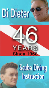 Learn To Dive
